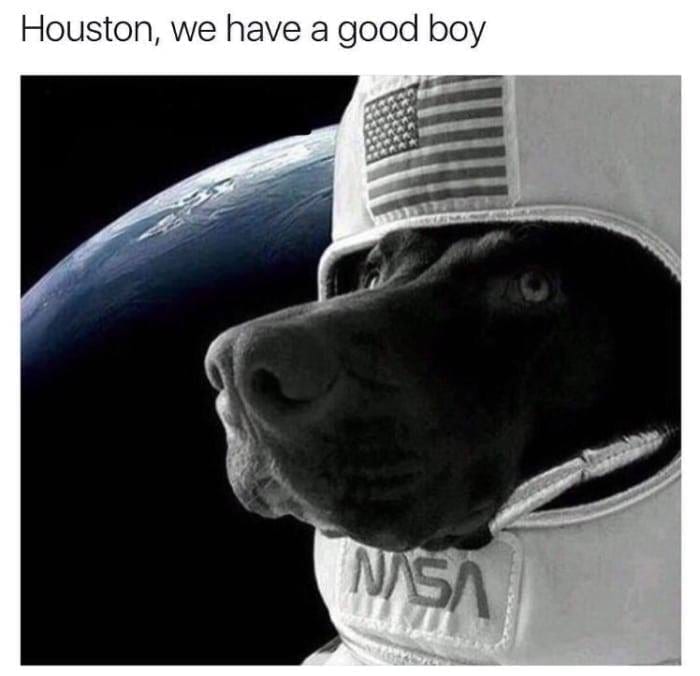 Houston we have a good boy