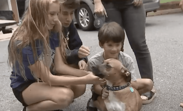 Kids Petting Dog