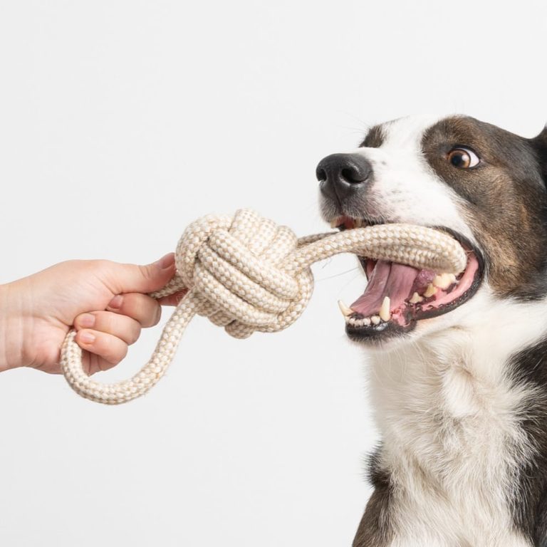 Double Pull & Play Rope Dog Toy