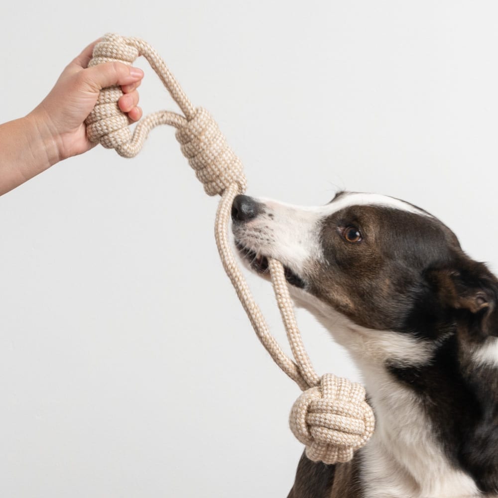 Get the Ball ! Tug'n Play Rope Toy