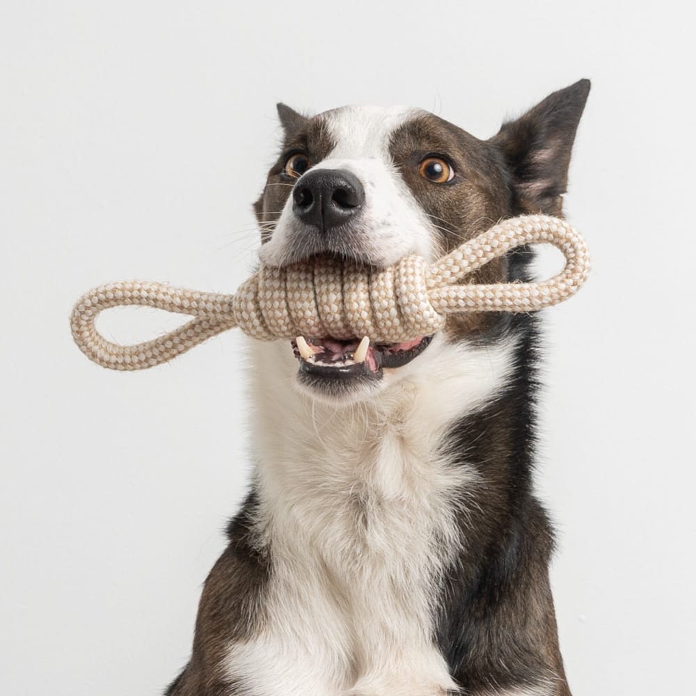 Perfect Tug Knot Rope Toy - Deal 65% OFF!