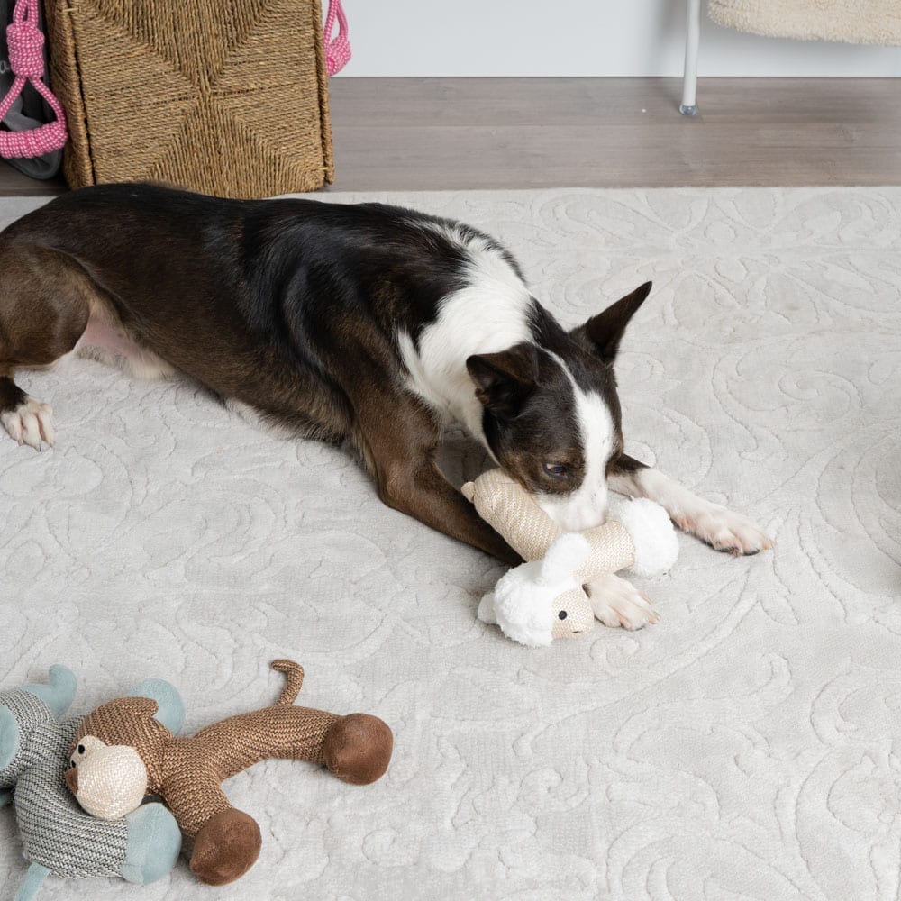 Project Play™: For Every Toy You Buy, We'll Donate One To A Shelter Dog ...