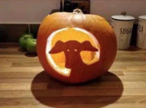 greyhound-pumpkin-carving