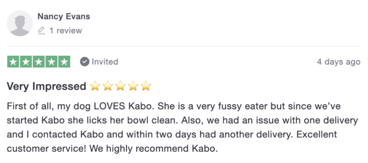 Kabo Review 1