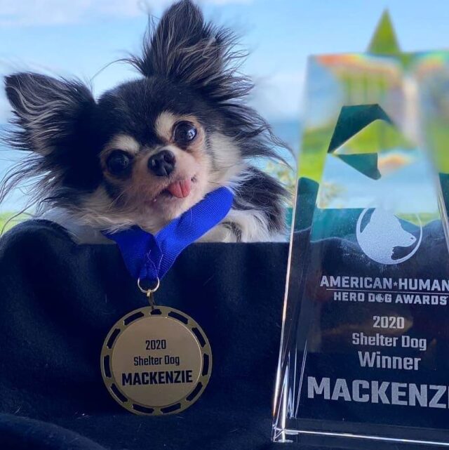 Mackenzie Hero Dog Awards