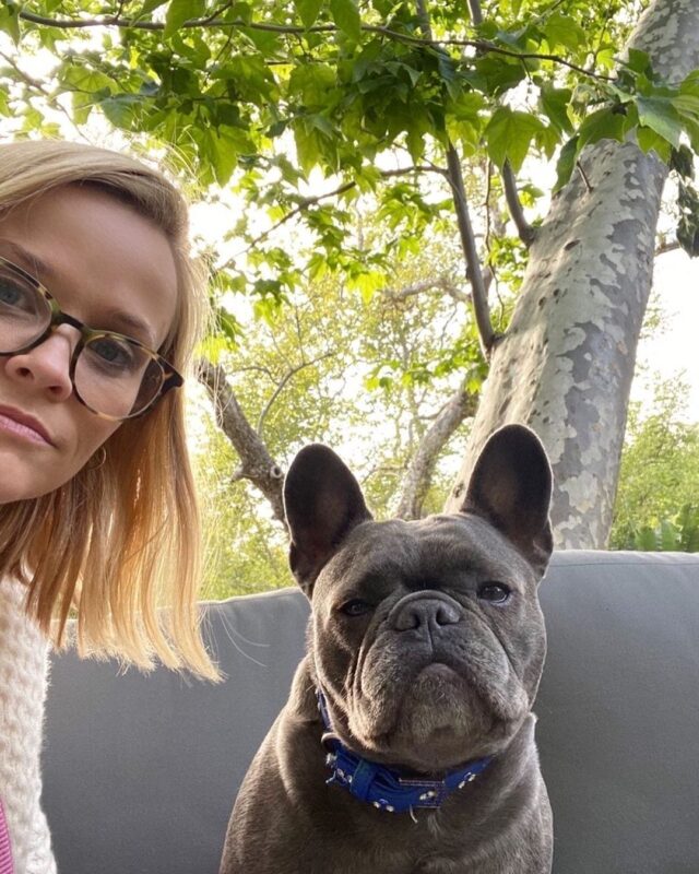 Reese Witherspoon and French Bulldog selfie