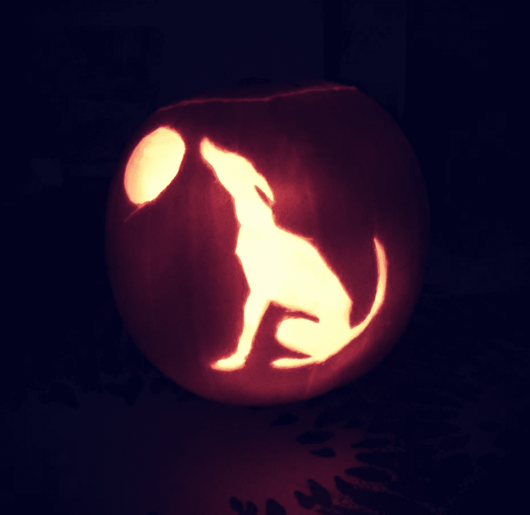 dog-pumpkin-carving