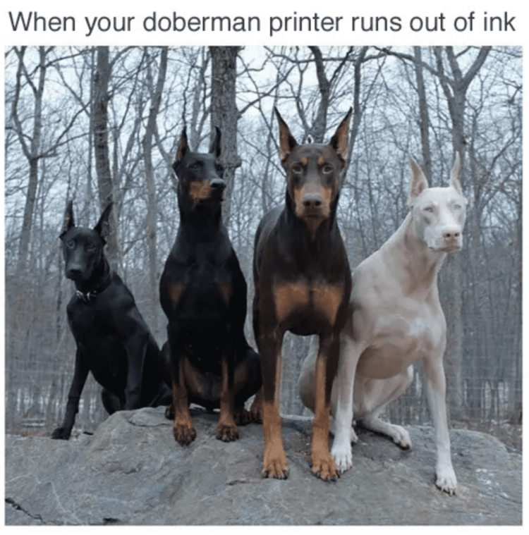 Doberman printer