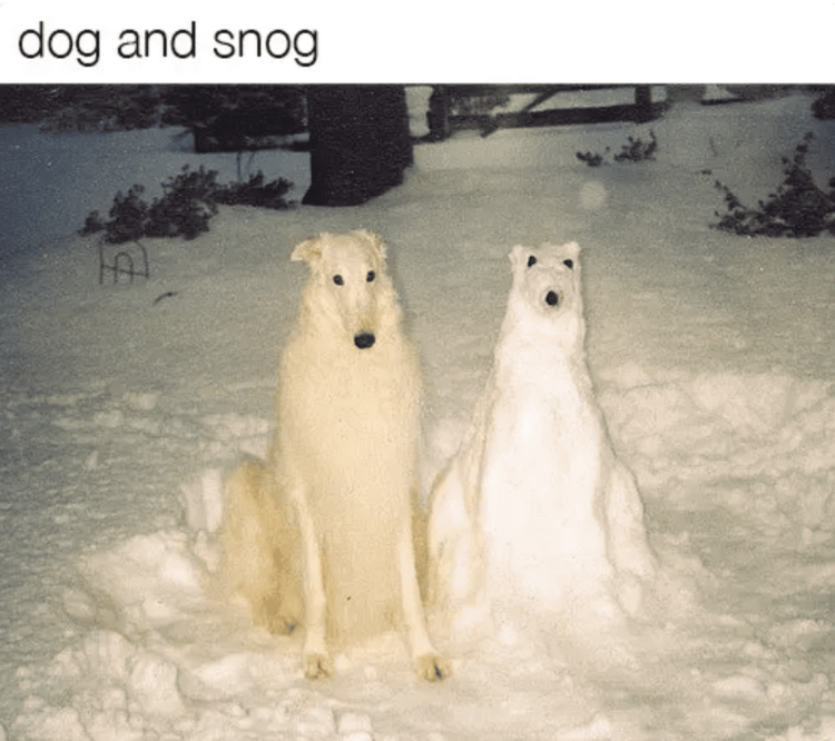 dog and snog