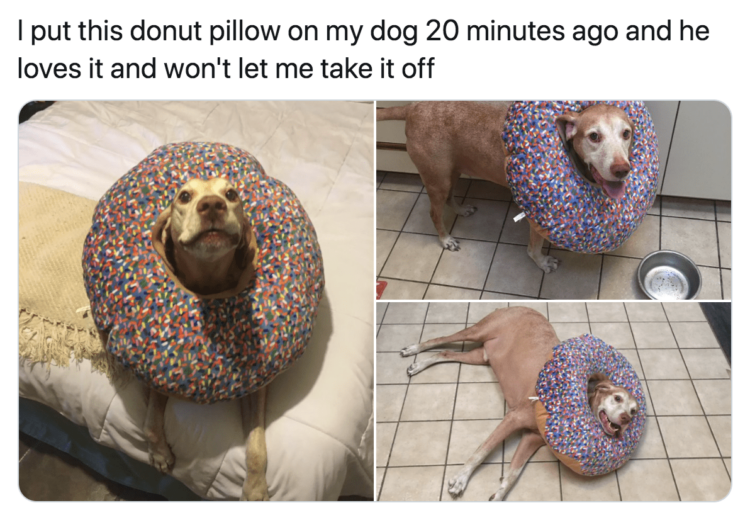 Dog donut pillow