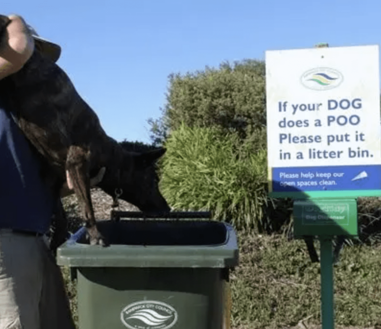 Dog litter bin