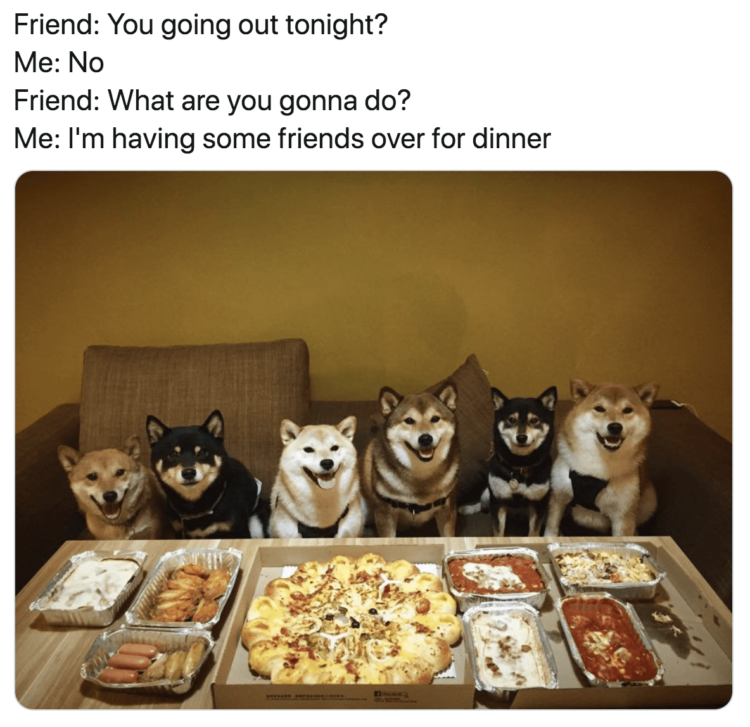 Dog pizza party