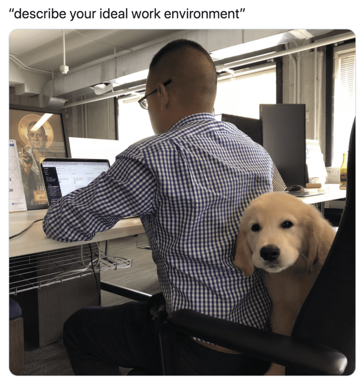 Ideal Work Environment