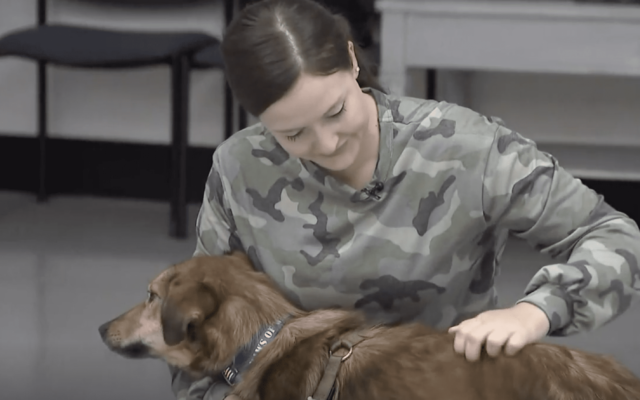 Soldier and Dog Reunite
