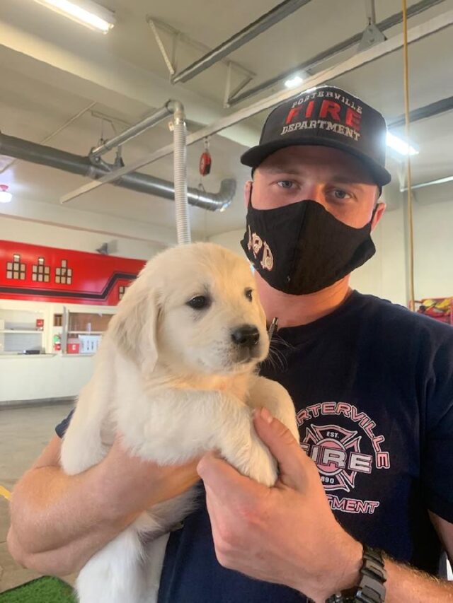 Firefighter holding puppy