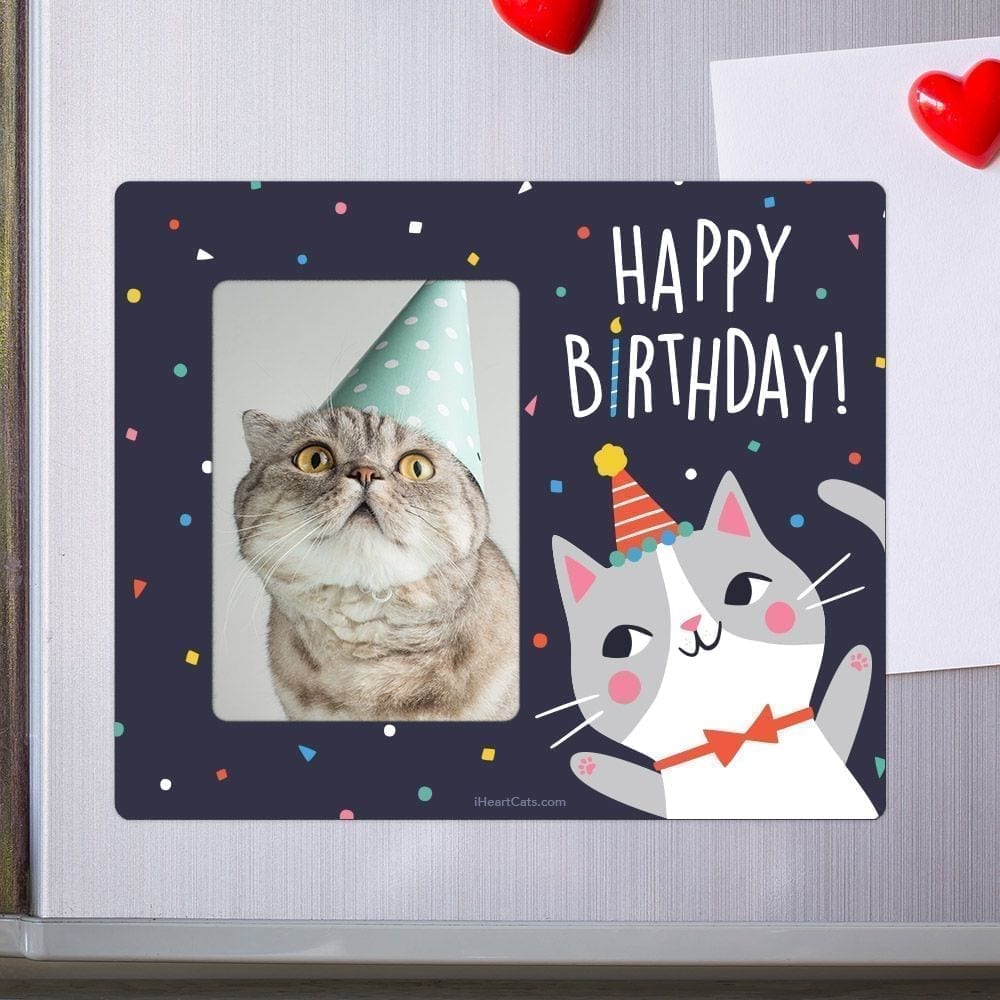Birthday Kitty Picture Frame Magnet