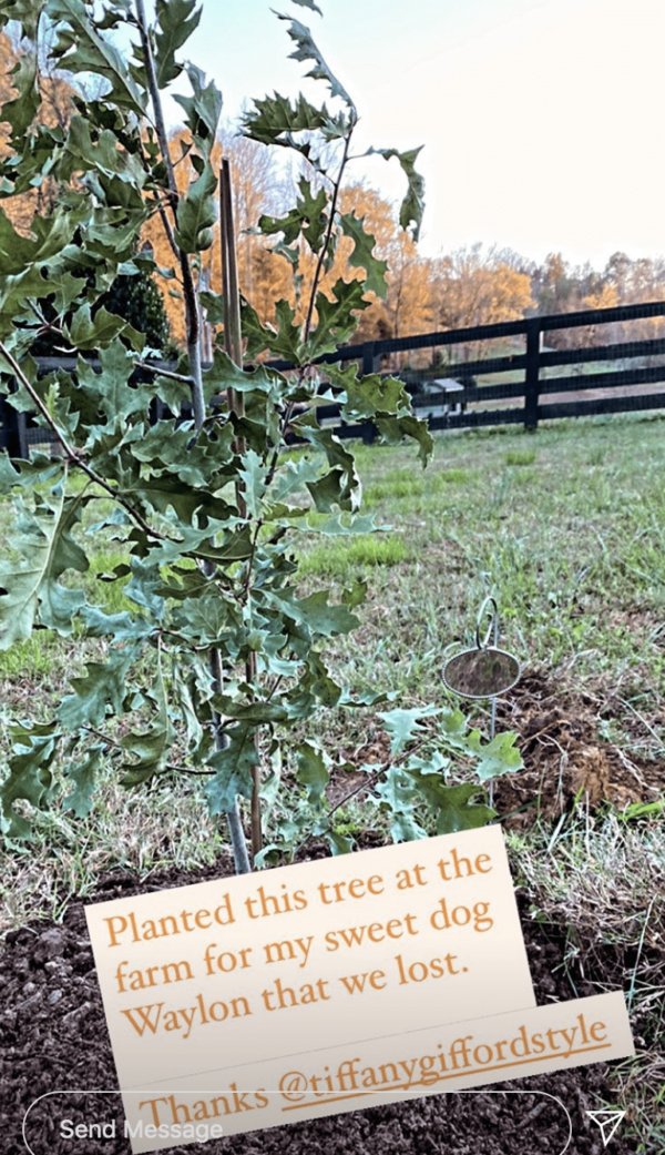 Miranda Lambert Tree Tribute