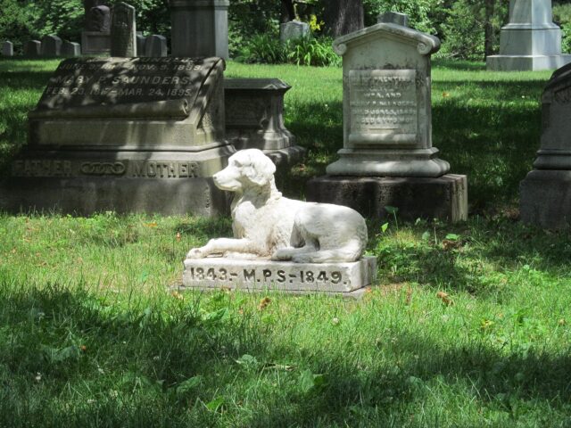 Single dog grave