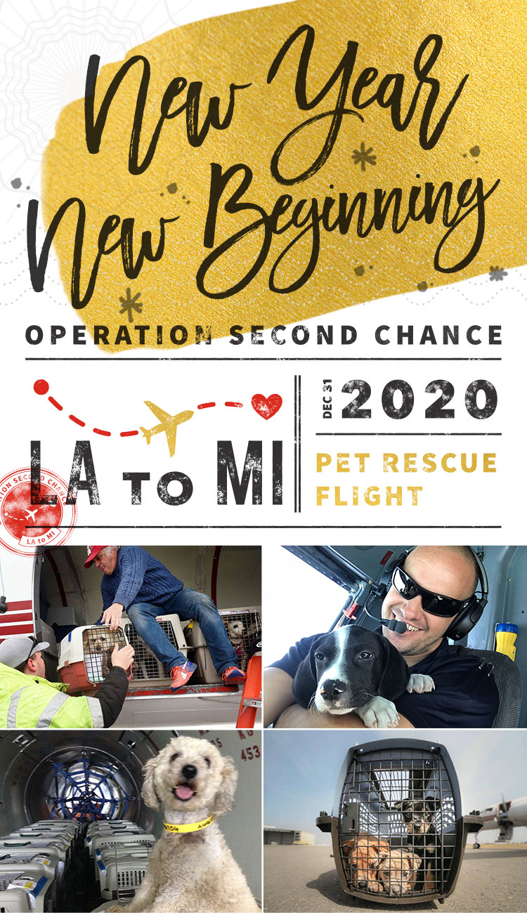 New Beginning Pet Rescue Flight