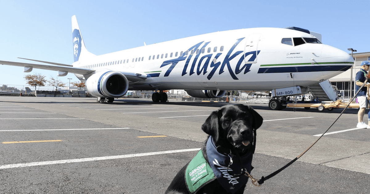 pet travel with alaska airlines