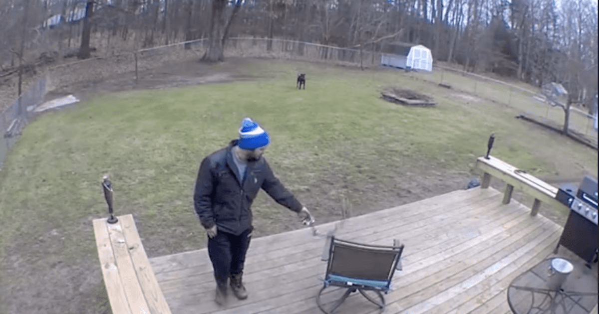 Boyfriend playing with dog