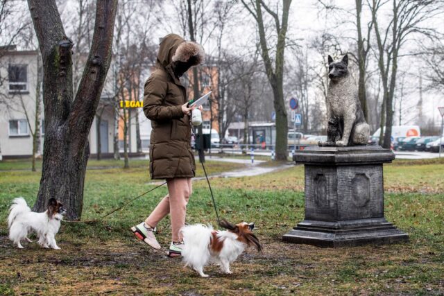 Dogs admiring Zorik statue