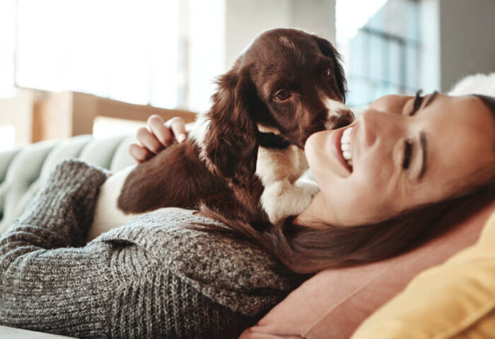 Monitor Your Pet’s Health From The Comfort Of Your Home