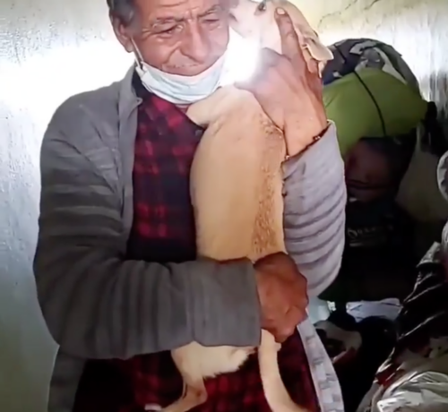Homeless Man Finally Reunited With His Stolen Dog - iHeartDogs.com