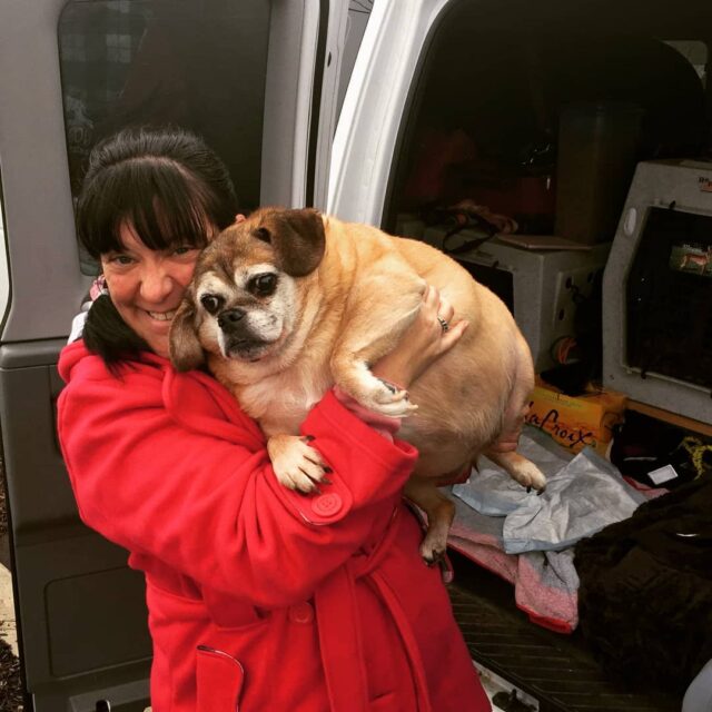 Woman Holding Overweight Dog