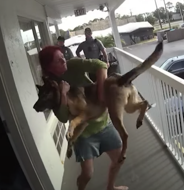 Woman throws dog out on balcony