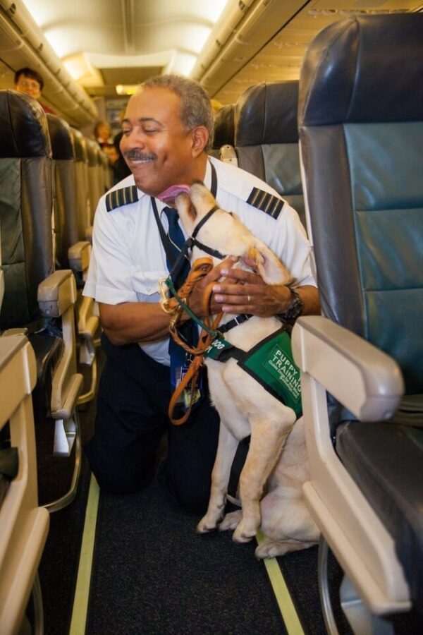 Service dog and pilot