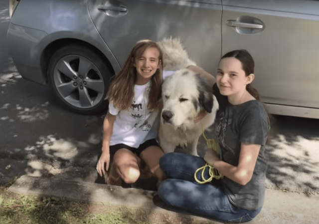 Girls with Great Pyrenees