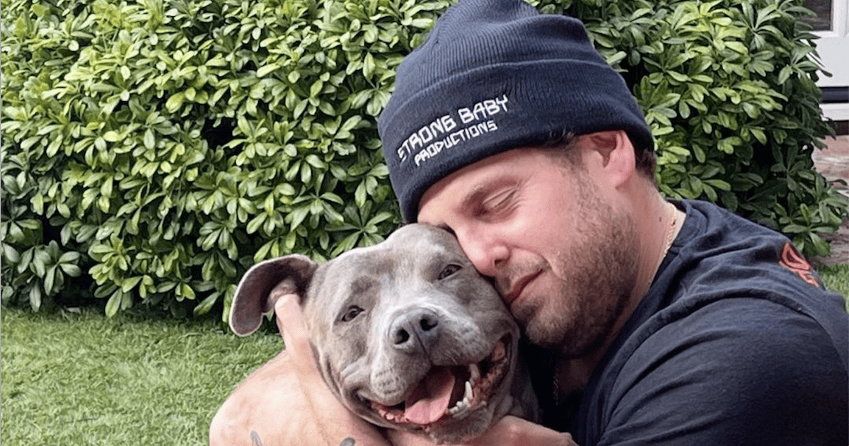 Jonah Hill and Rescue Dog