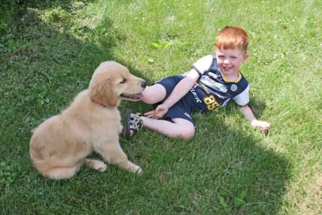 Kid and Golden Retriever Puppy