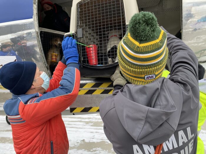 Loading Dog onto Rescue Flight