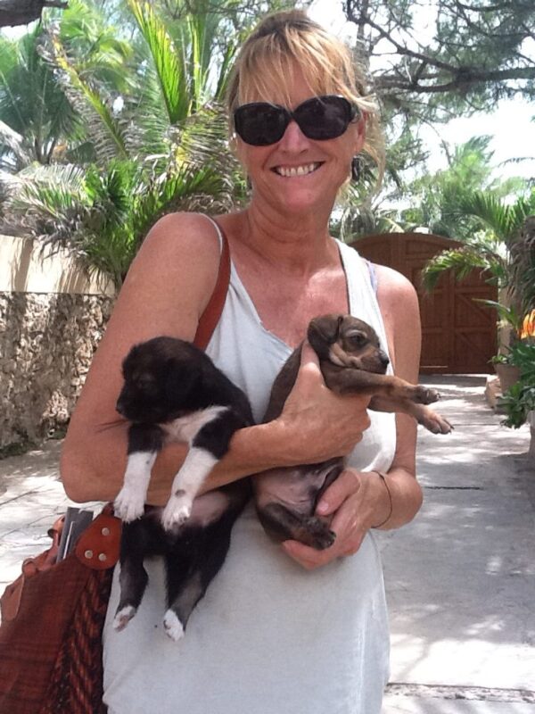 Woman holding stray puppies