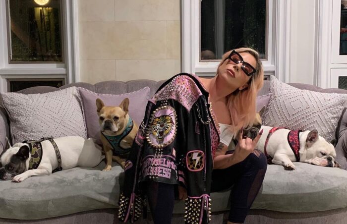 Lady Gaga with Dogs