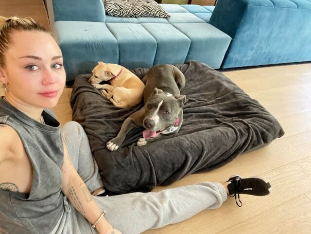 Miley Cyrus with Dogs