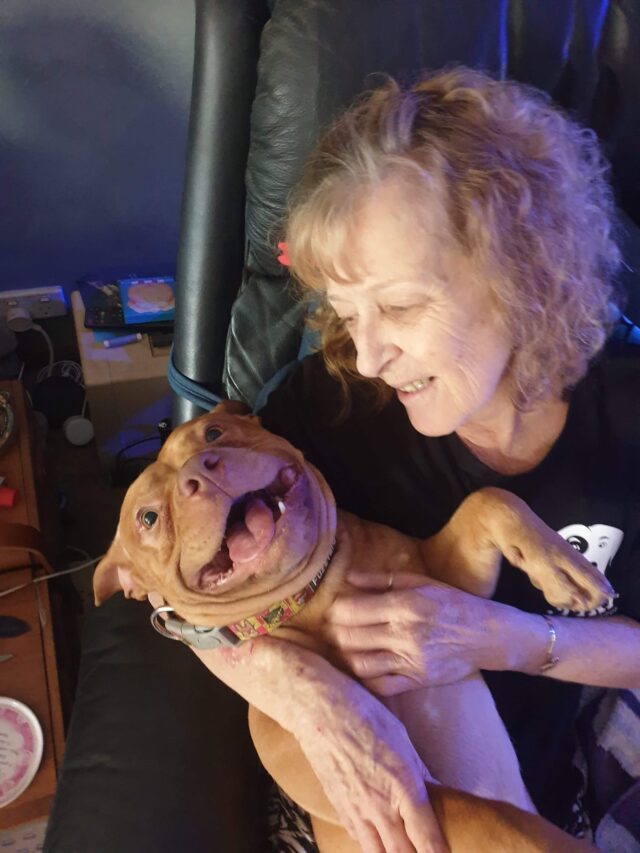 Dog loves grandma