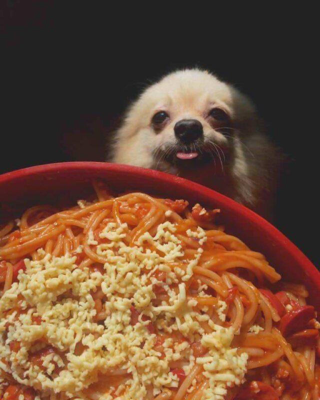 He desire spagoote