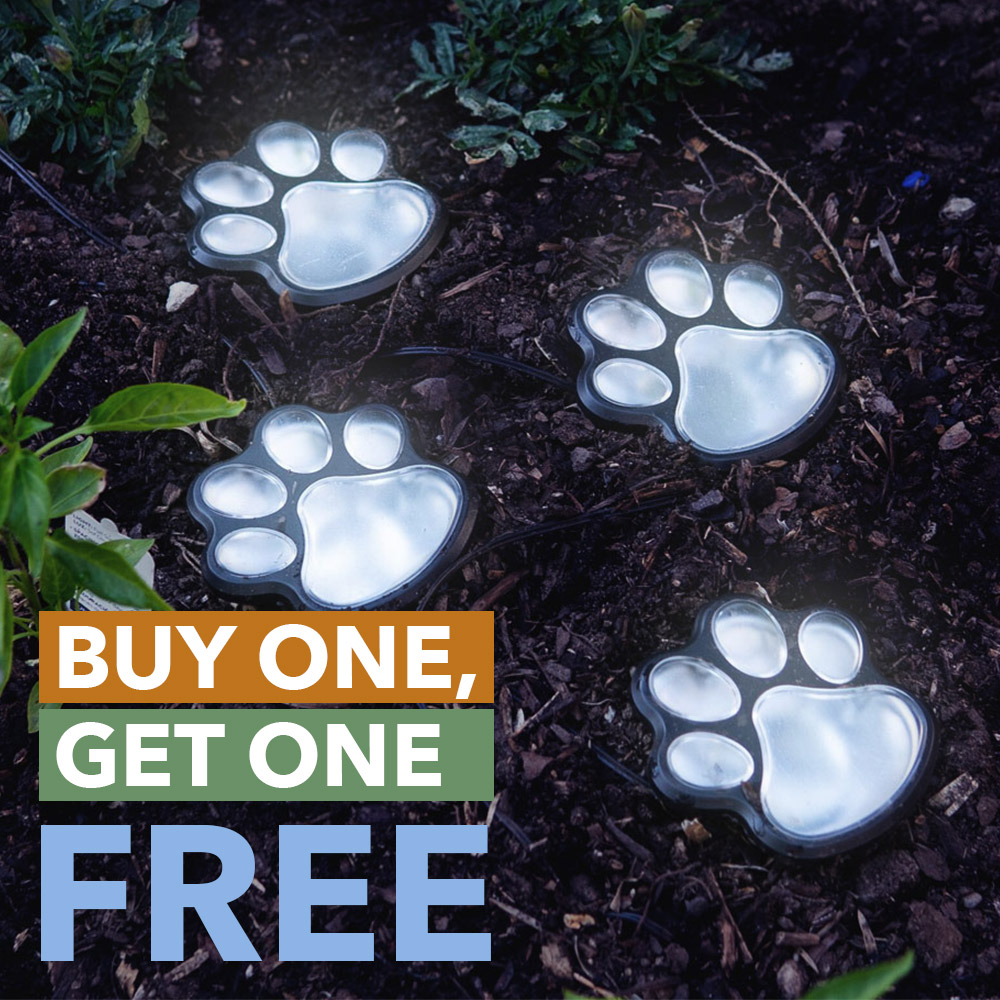 Image of Path To My Heart Paw Prints Solar Garden Lights 🐾 Deal BOGO Free