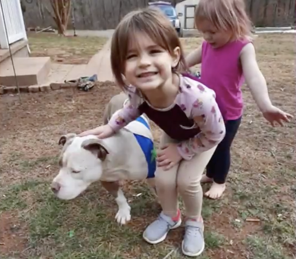 Girls and Pit Bull Reunited