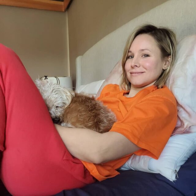 Kristen Bell holding rescue dog