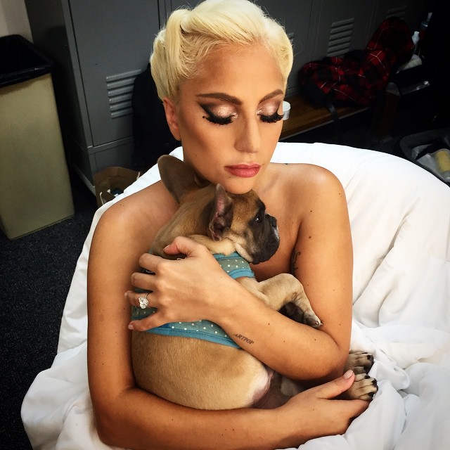 Lady Gaga hugging dog