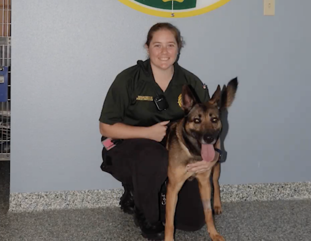 Rescue German Shepherd and Officer