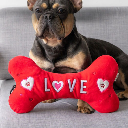 Love ❤️ Snuggle Buddy Plush Pillow Toy- LIMITED TIME VALENTINE'S OFFER 40% OFF!