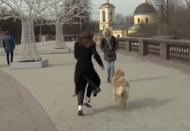 Dog Runs with Microphone