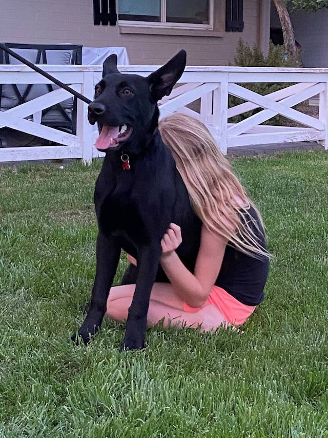 Girl hugging rescue dog