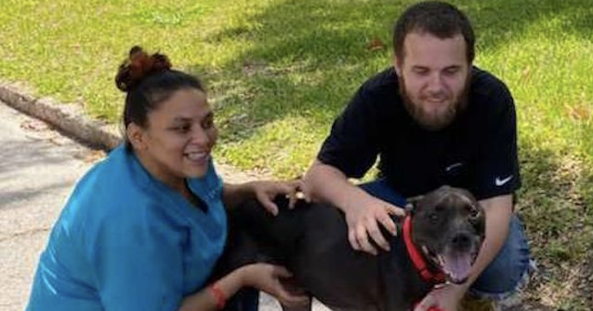 Homeless man and dog reunited