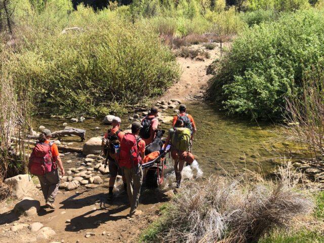 Injured Rottweiler crossing river